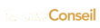 Logo Talents Conseil variante