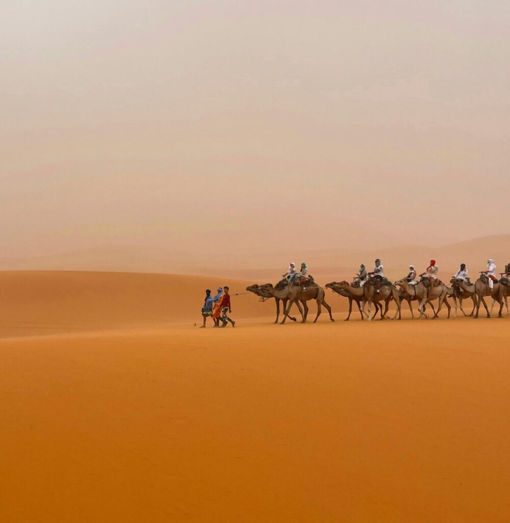 TalentsConseil - Cabinet - business - Mauritanie