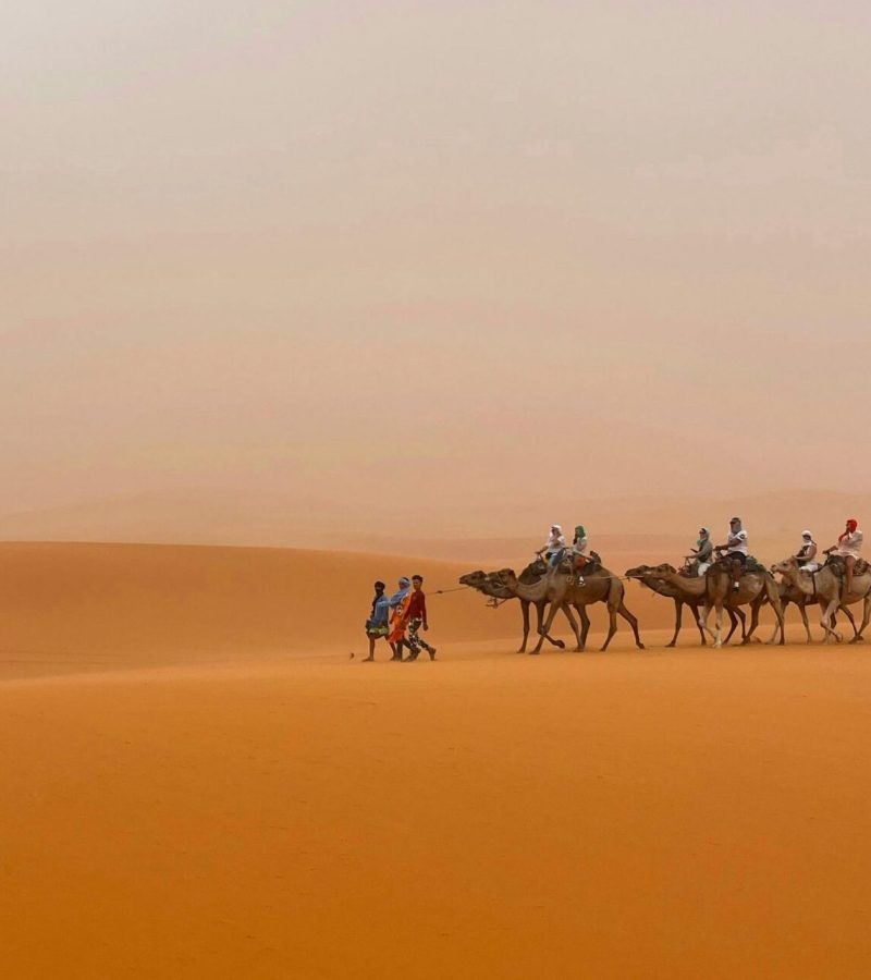 pexels-paolo-parisi-737728771-28267498