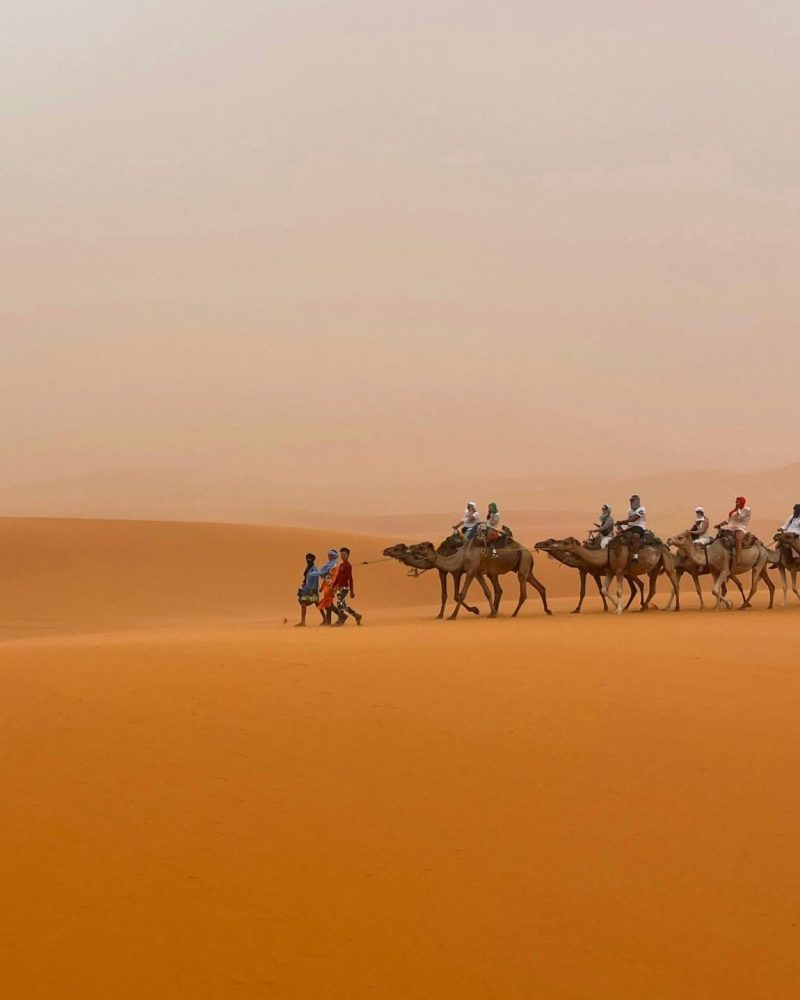 TalentsConseil - Cabinet - business - Mauritanie